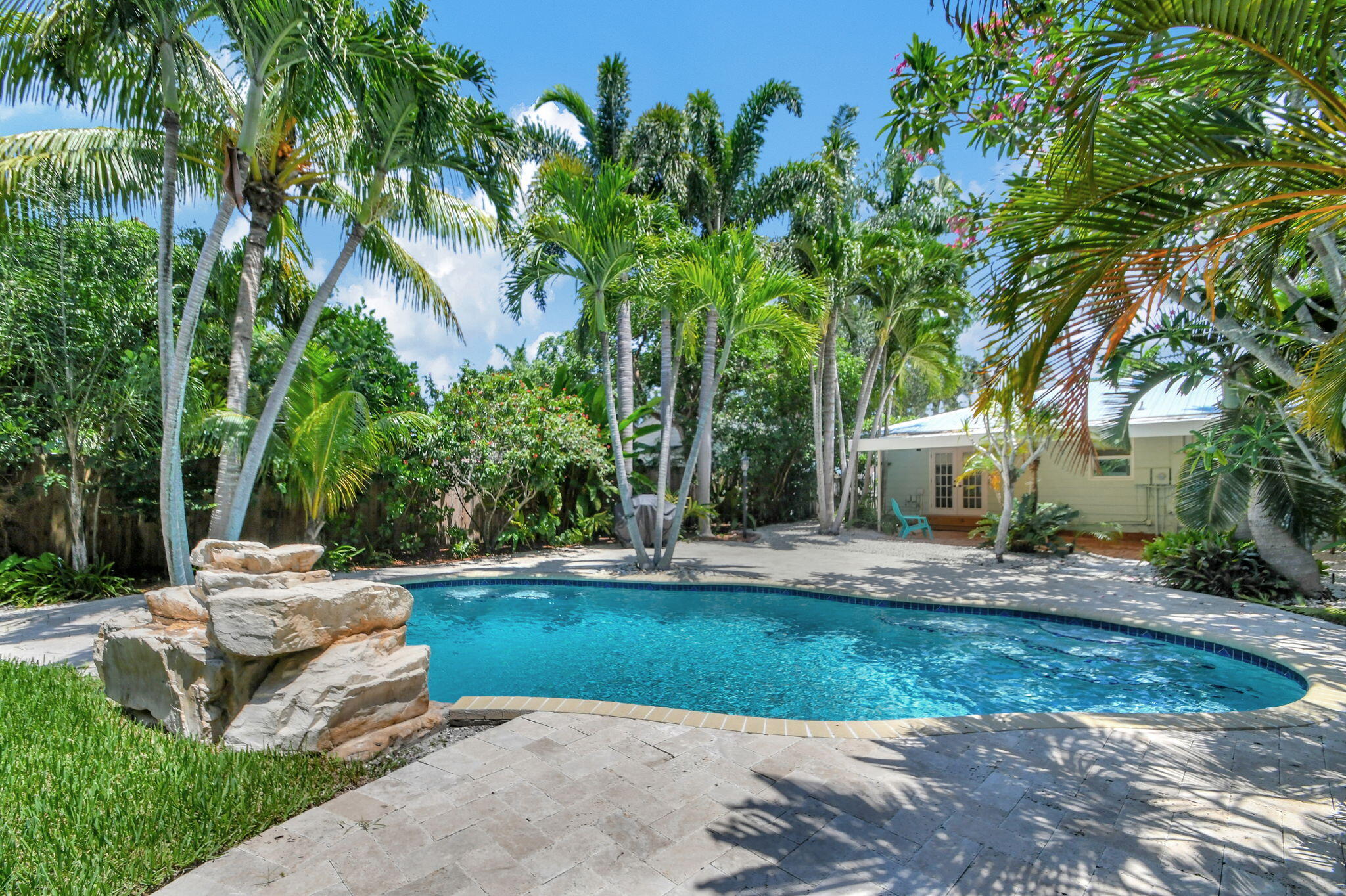 a view of a backyard with plants and trees