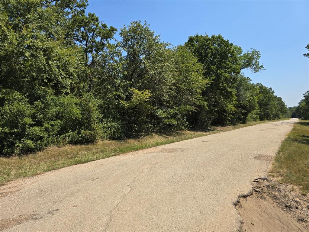 a view of a road with a trees