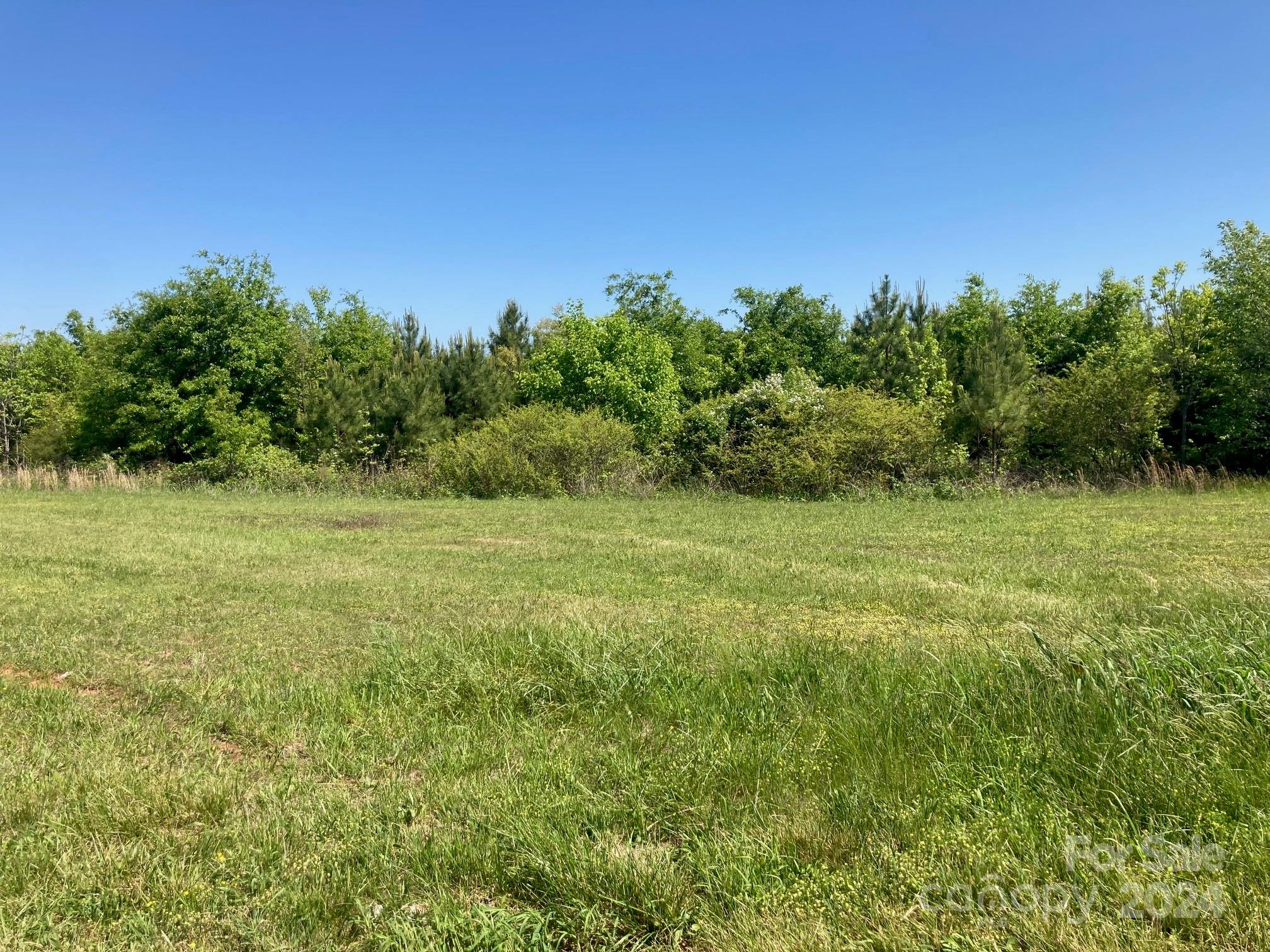 a view of a grassy field with trees in the background