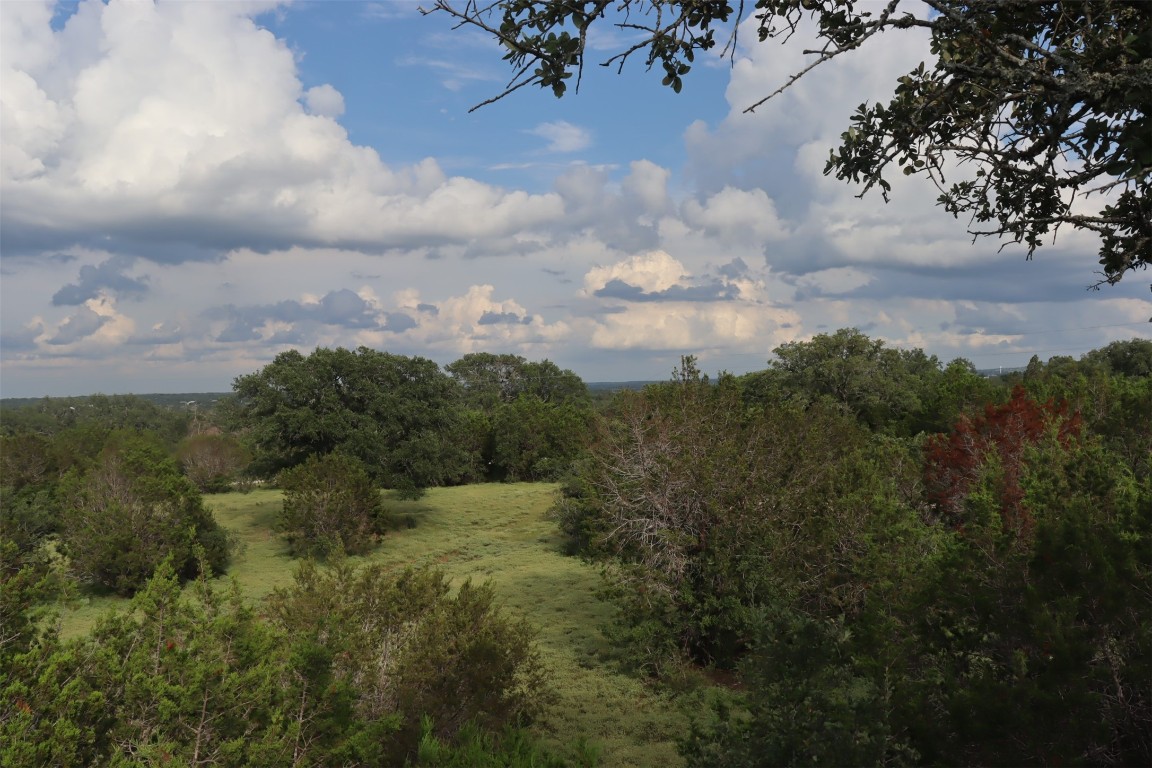 a view of a city with lush green forest