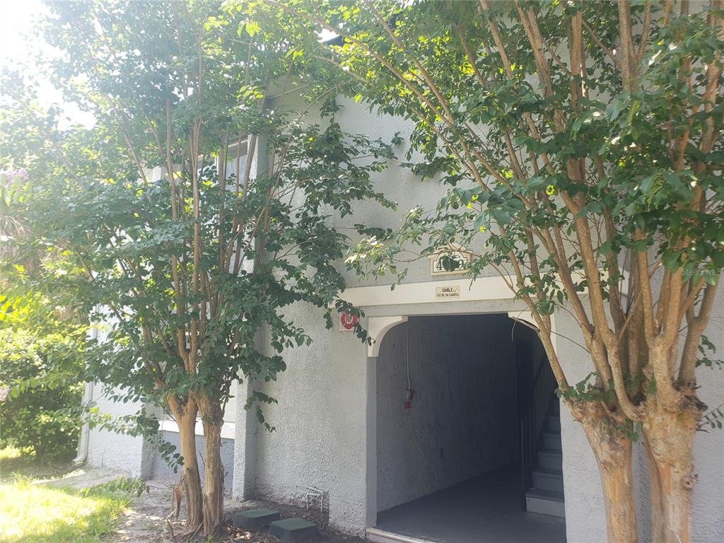 a view of residential house and tree