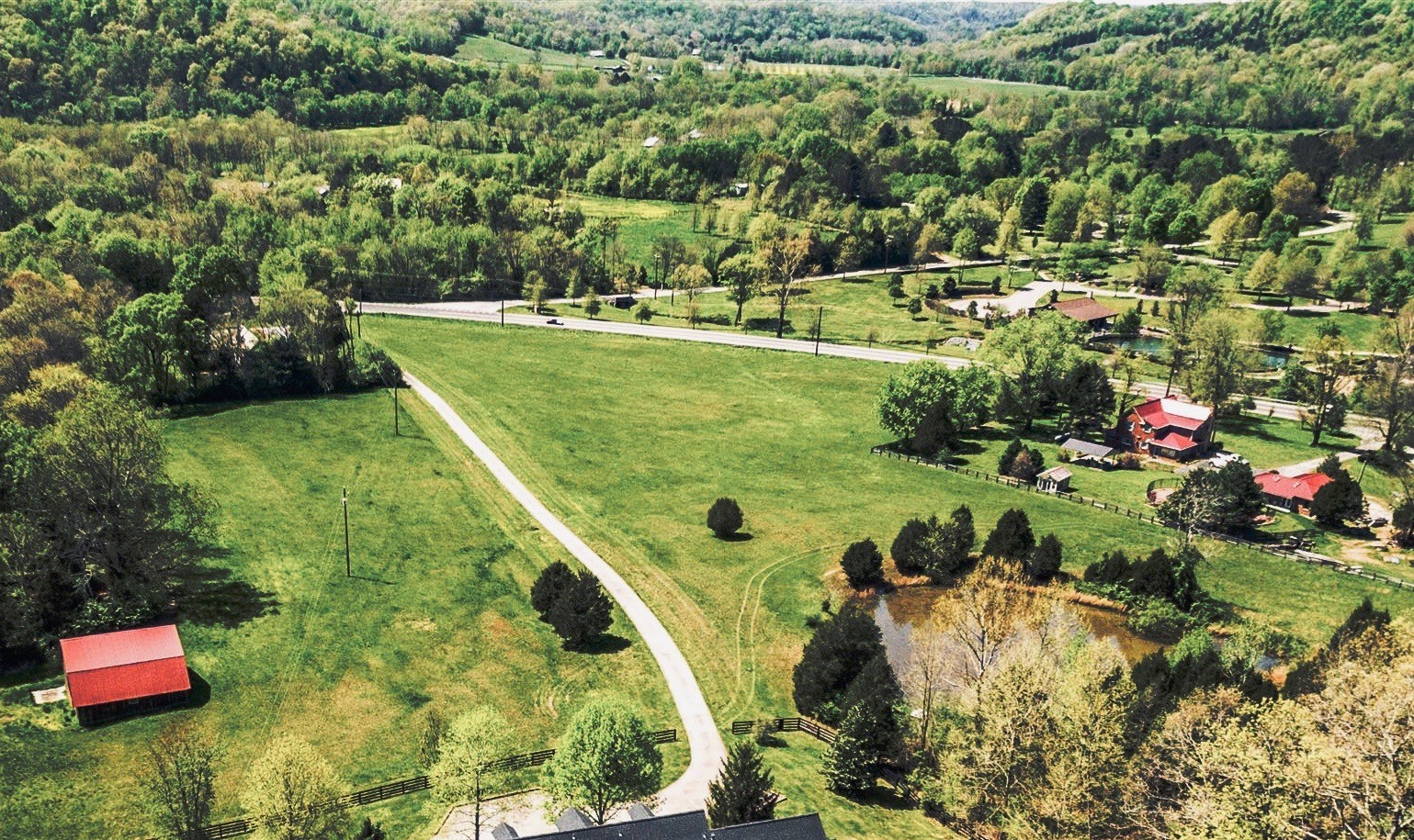 a view of a lush green yard with large trees