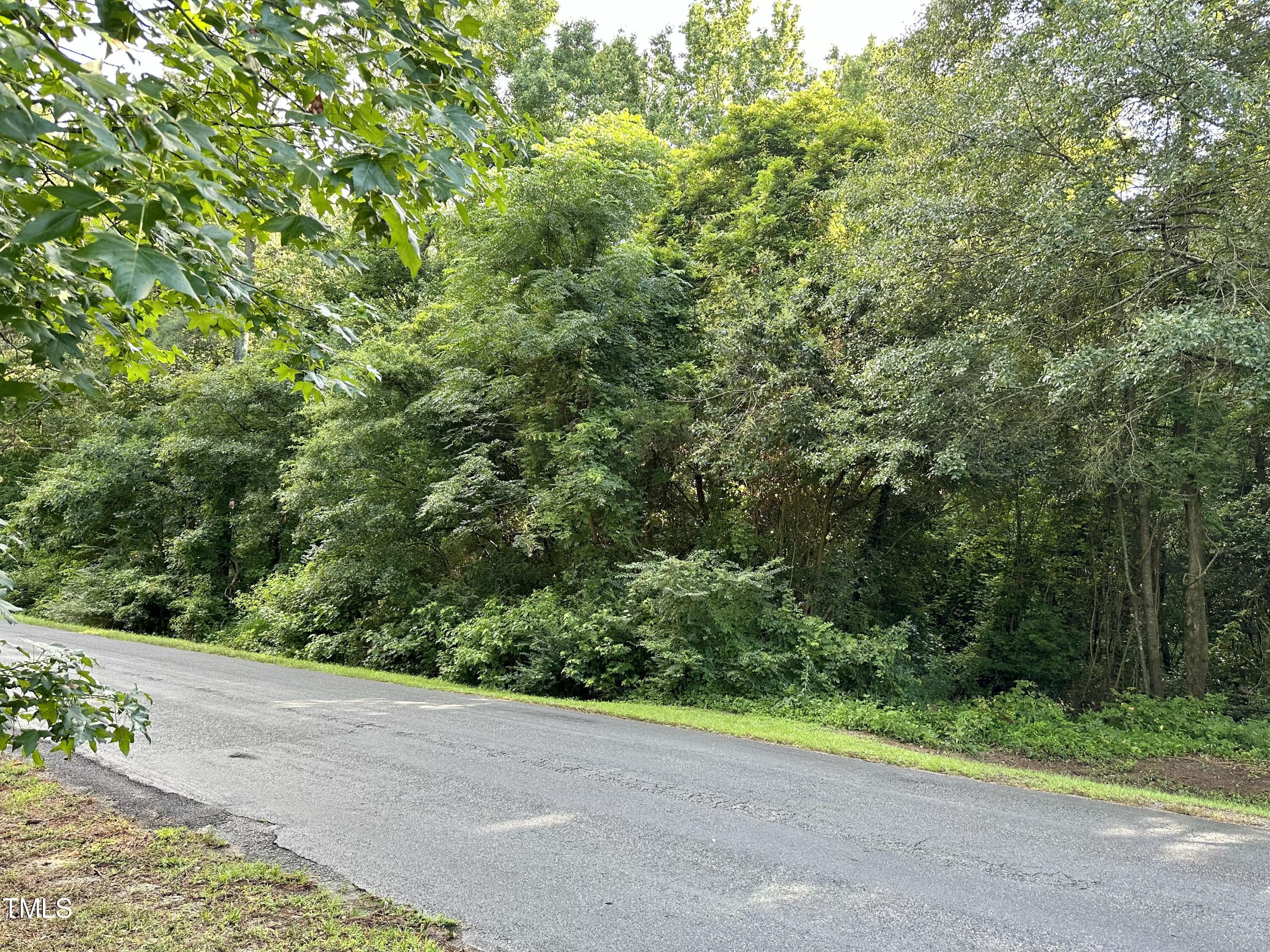 a view of a yard with a plants and trees