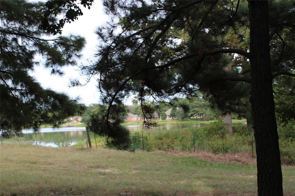 a view of a lake from a yard