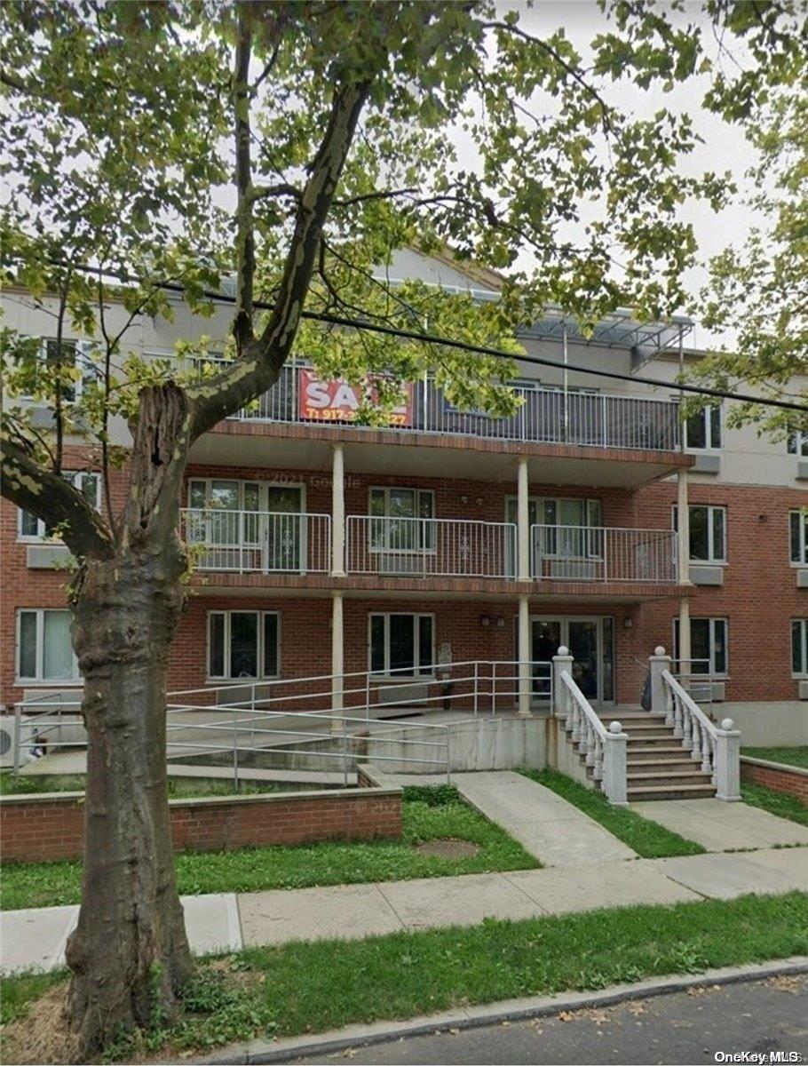 a view of a house with a small yard plants and large trees