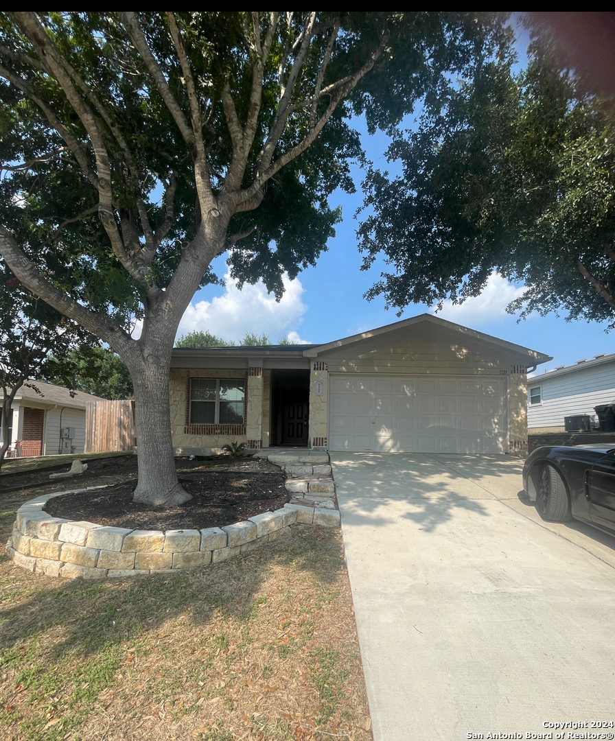 a view of a house with a yard tree s