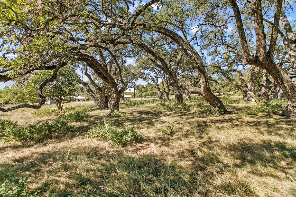 a view of yard