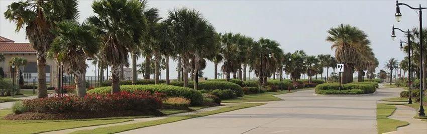 a view of a park