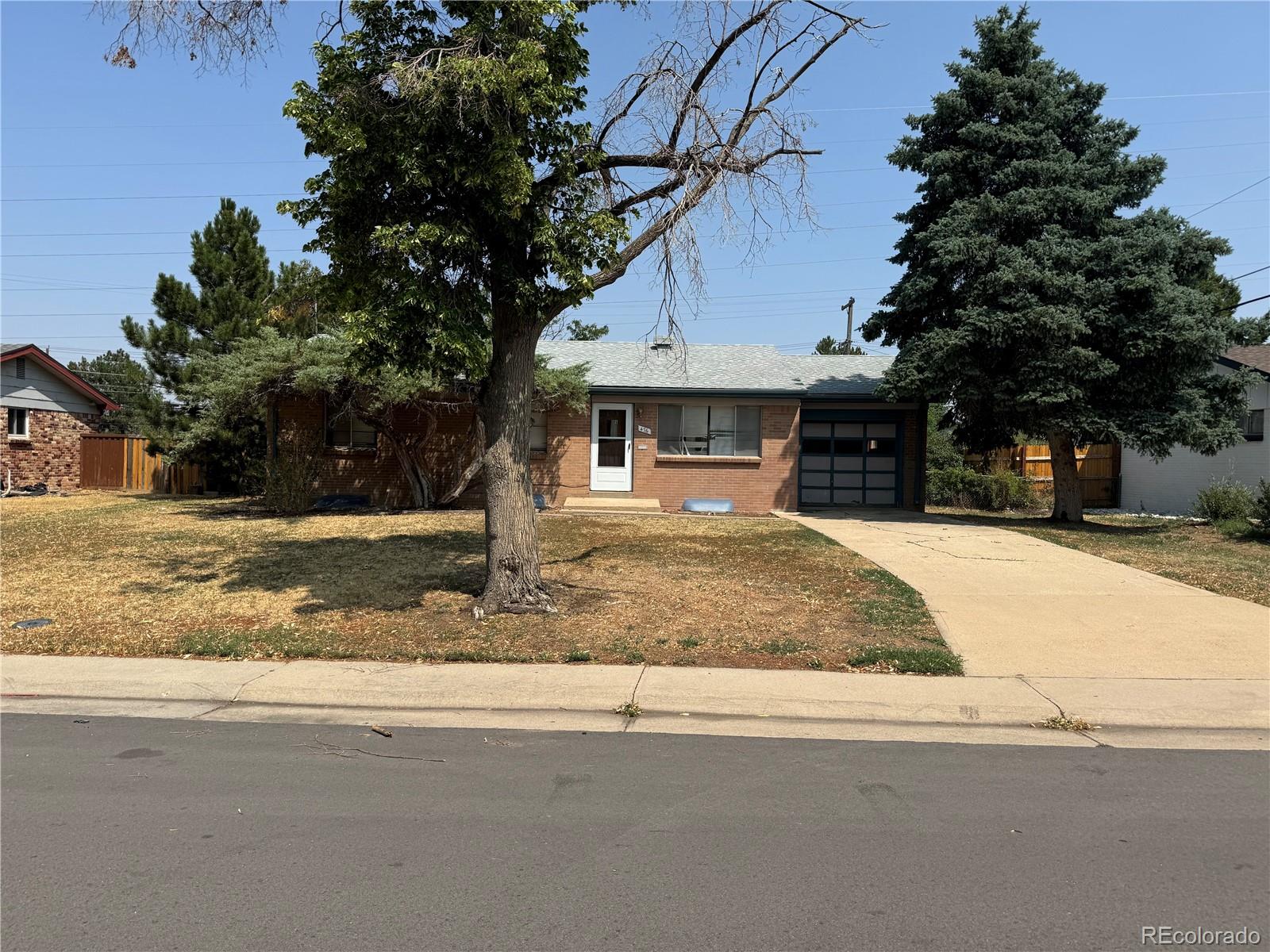 a house with trees in front of it