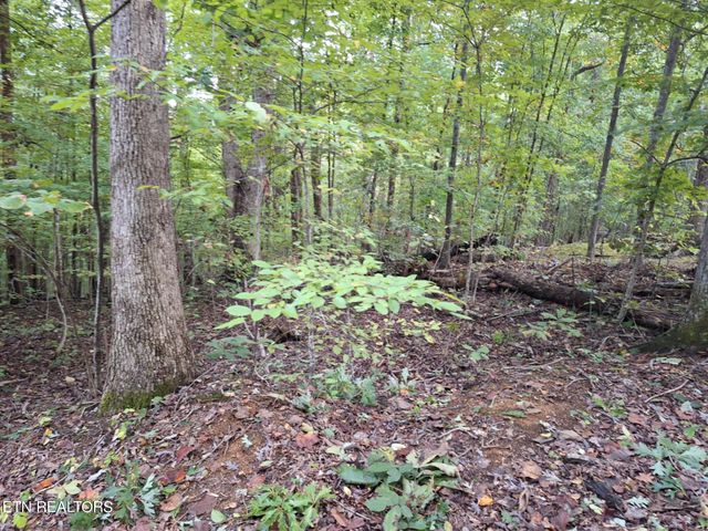 $20,000 | Polly Mountain Road