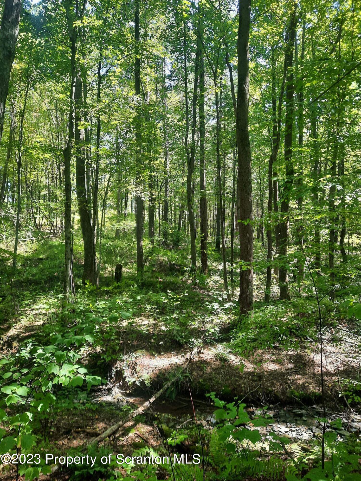 a view of outdoor space and trees