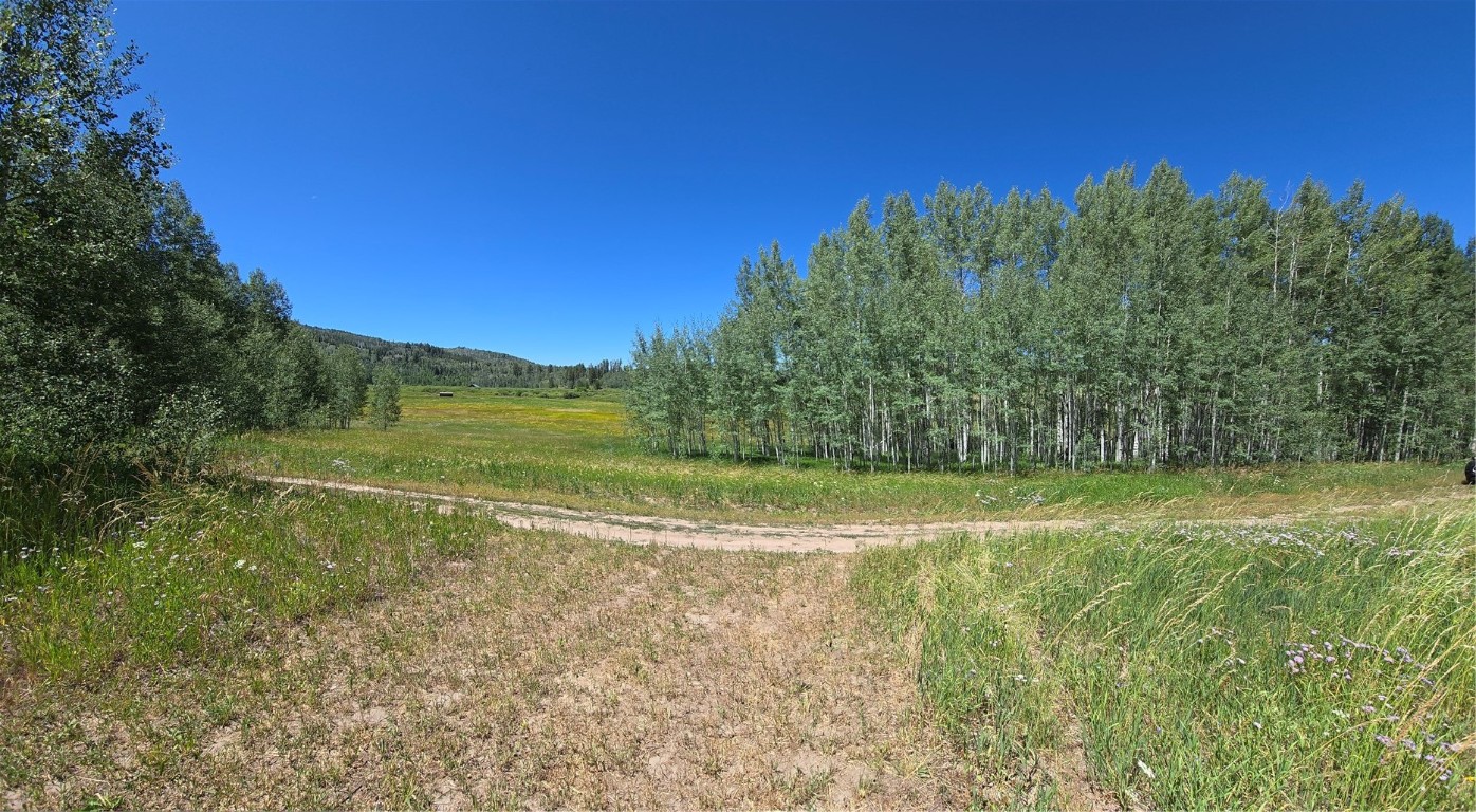 a view of a field with trees