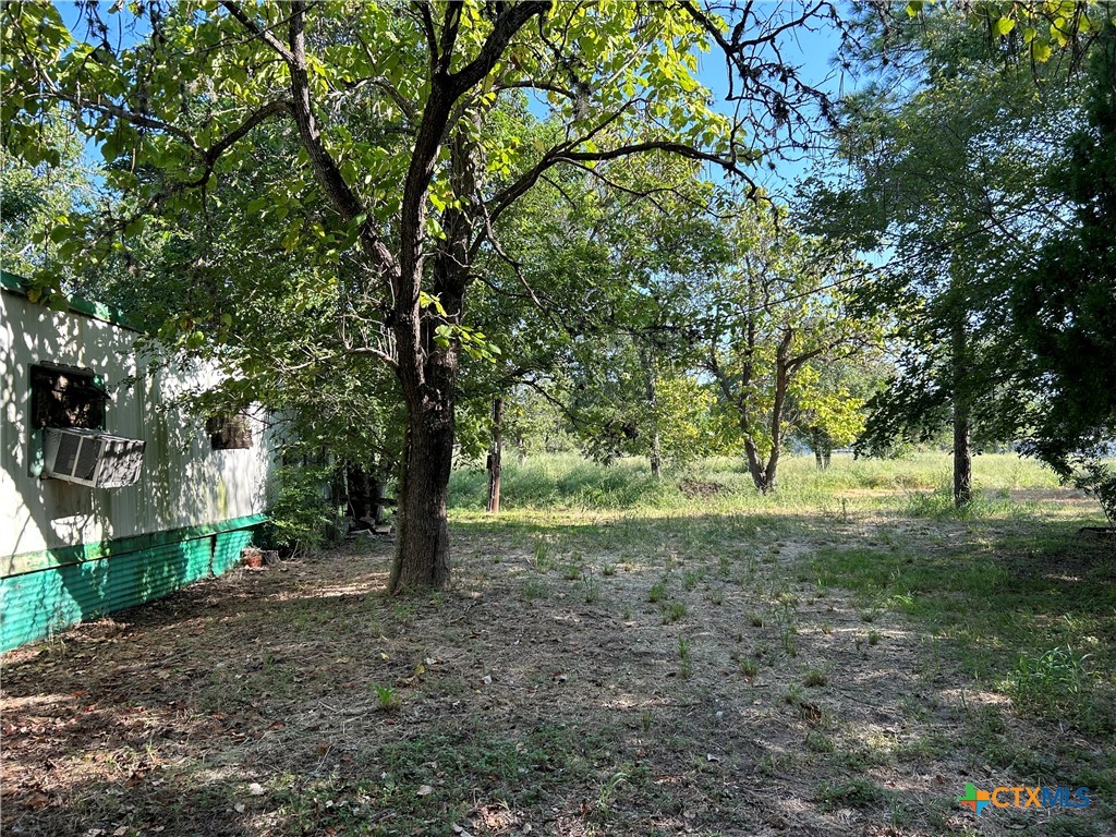 a view of a tree in the middle of a yard