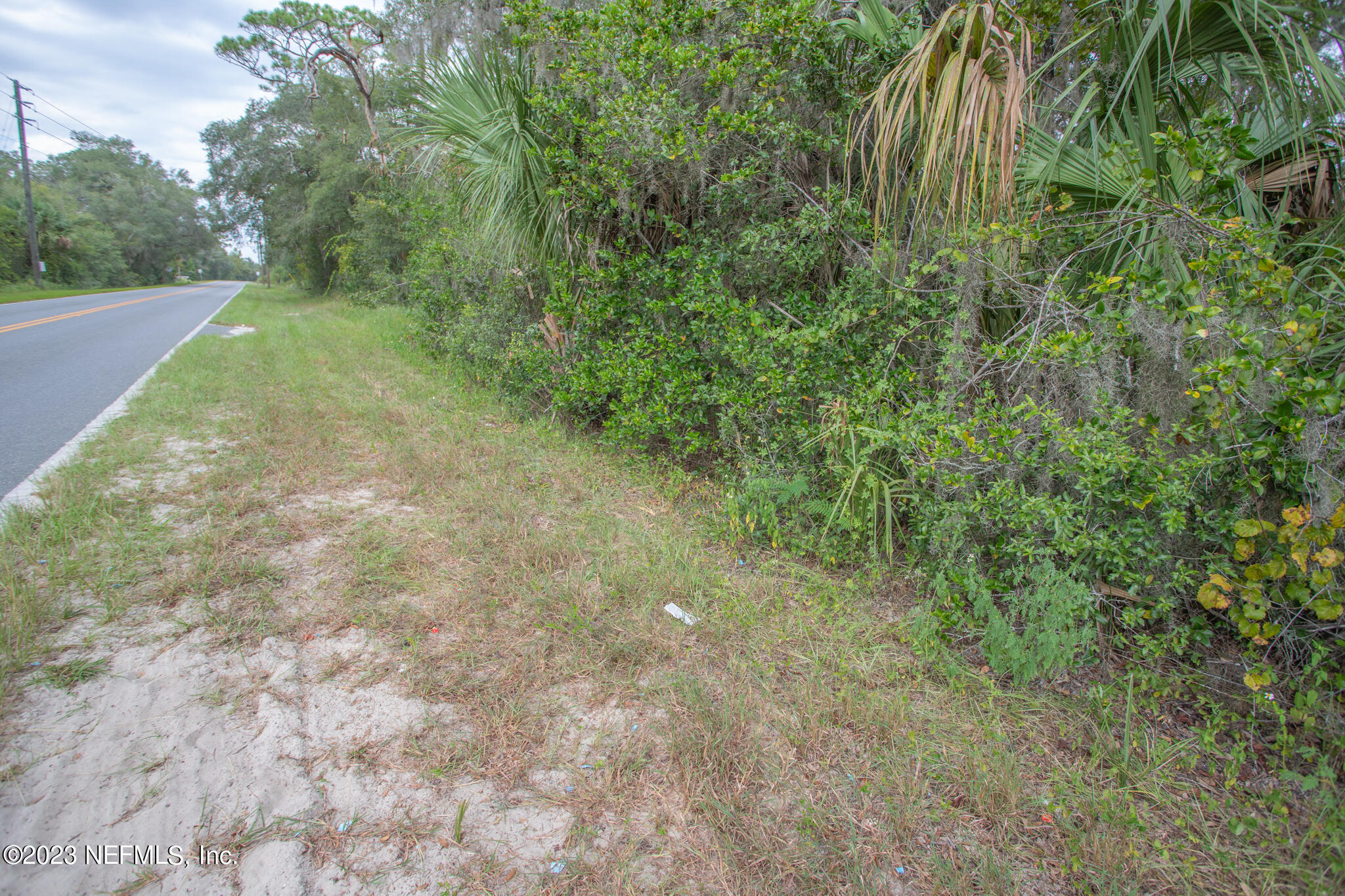 a view of a yard with a tree