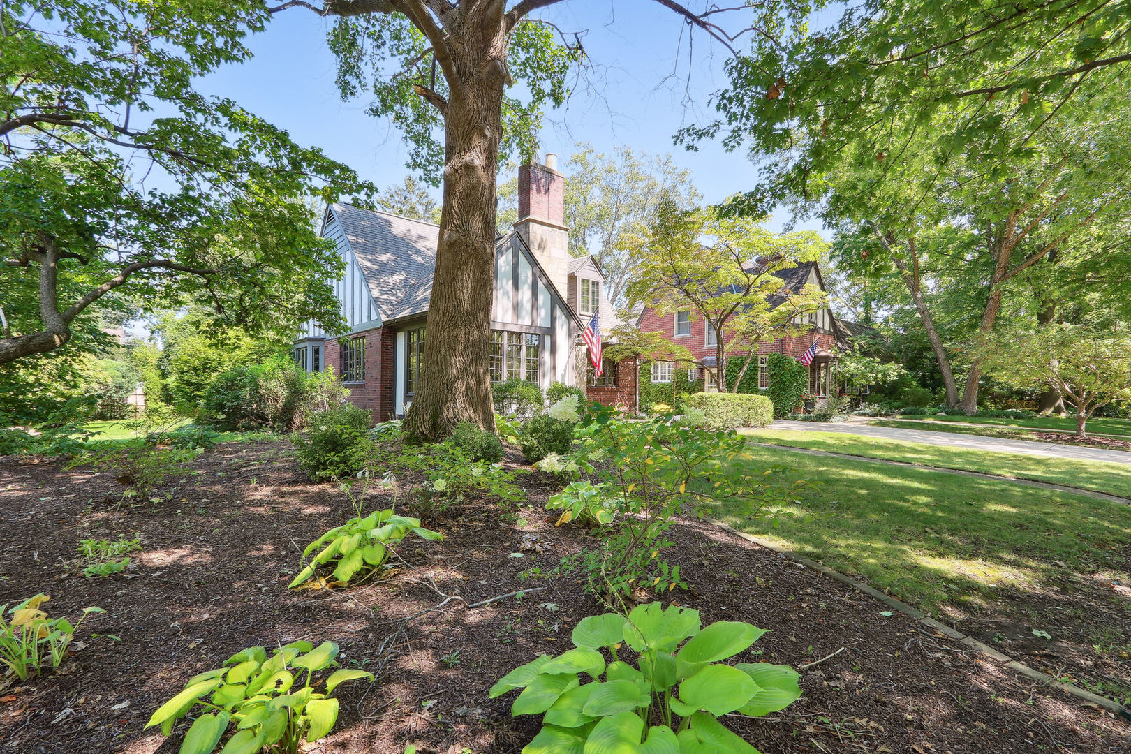 a view of a garden with a tree