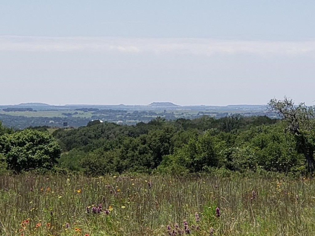 a view of a field of grass and trees