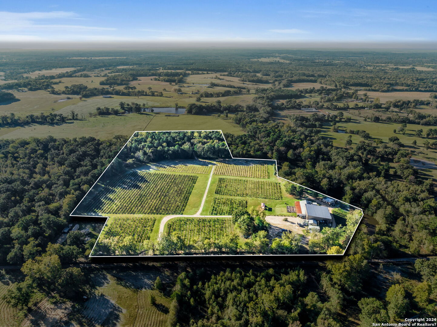 an aerial view of a residential houses with outdoor space