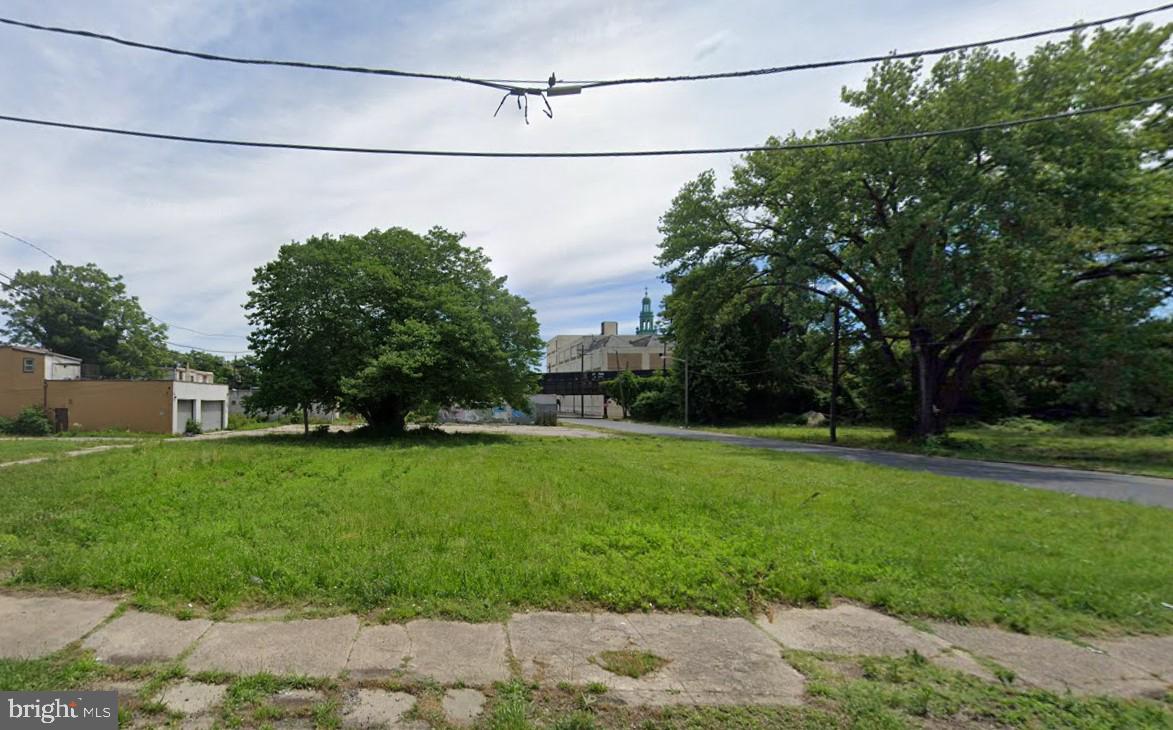 a view of a yard with a tree