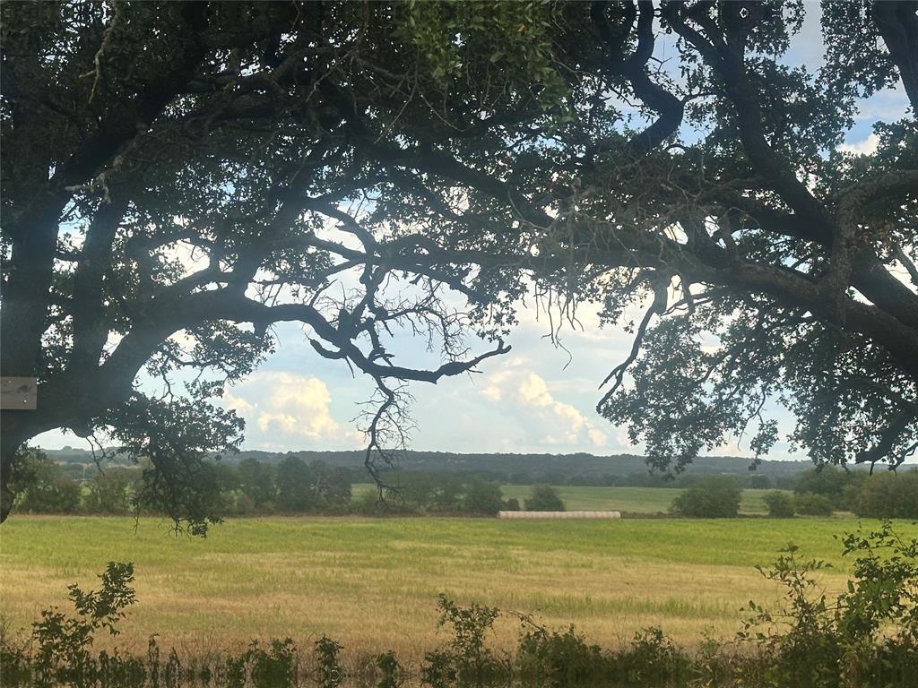 a view of a lake from a yard