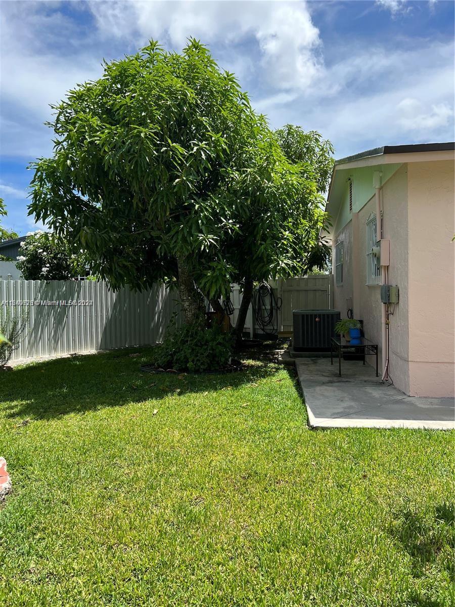 a view of a yard with a house and a large tree