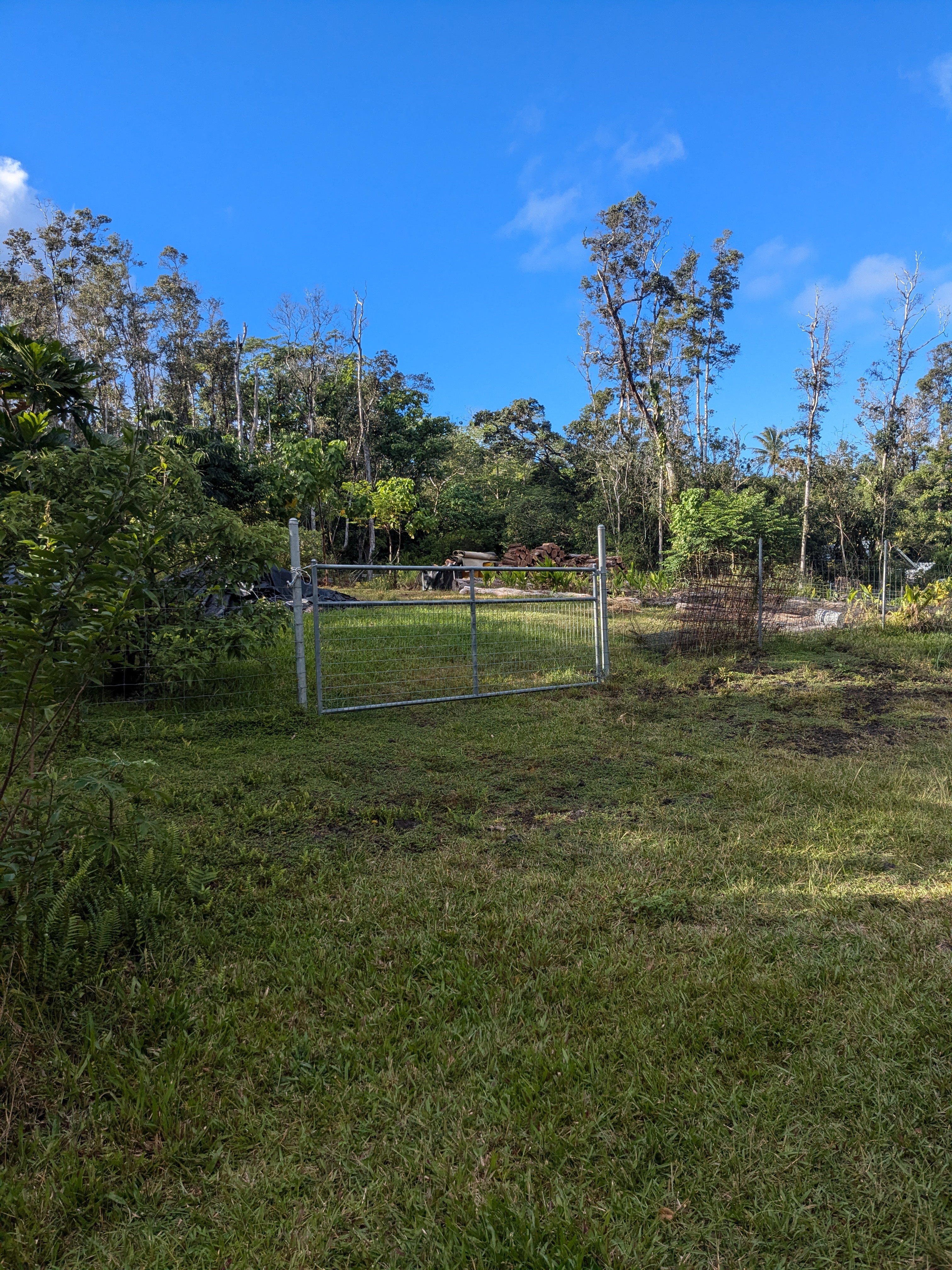 a view of a park