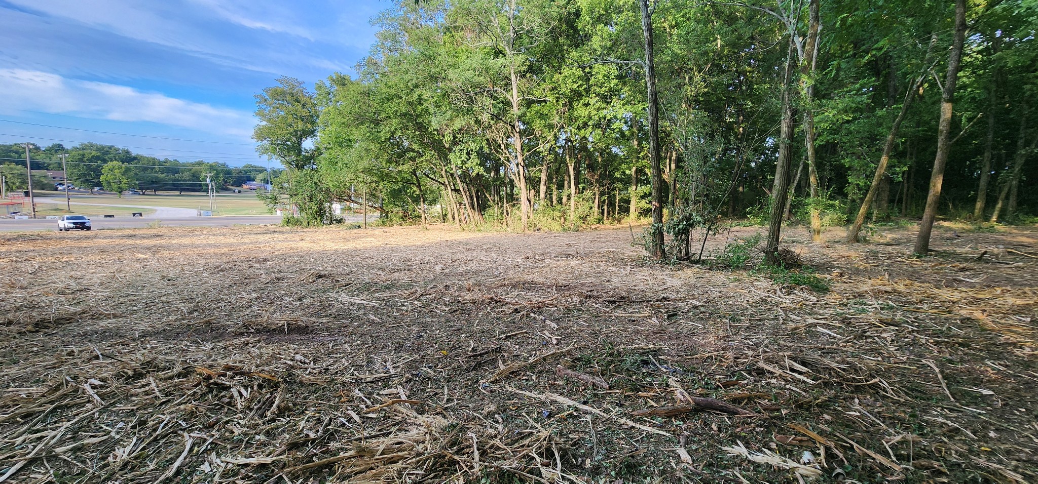 a view of dirt yard with a trees