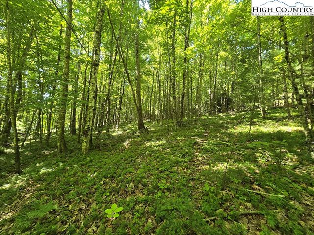 $52,000 | Lot 67 Deer Spring | Old Fields Township - Ashe County