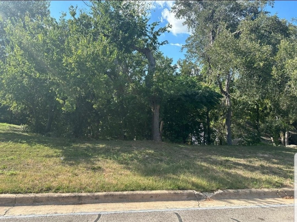 a view of outdoor space and yard