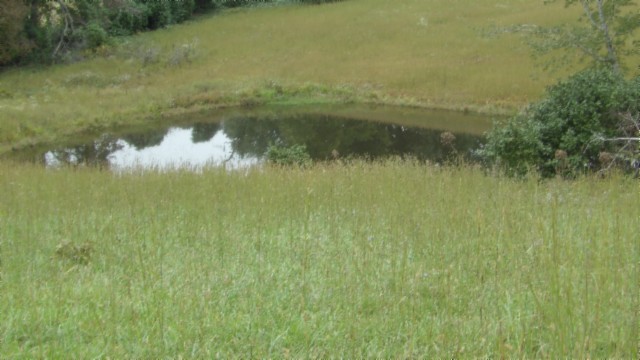 a view of a lake view