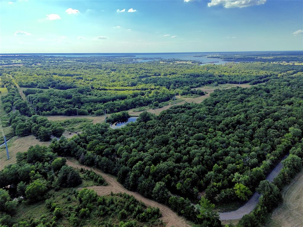 a view of a city with lush green forest