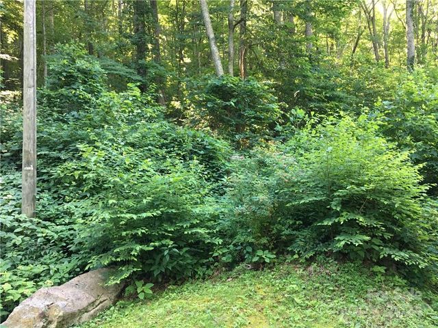 $55,000 | Tbd Red Oak Forest Road | Fairview Forest