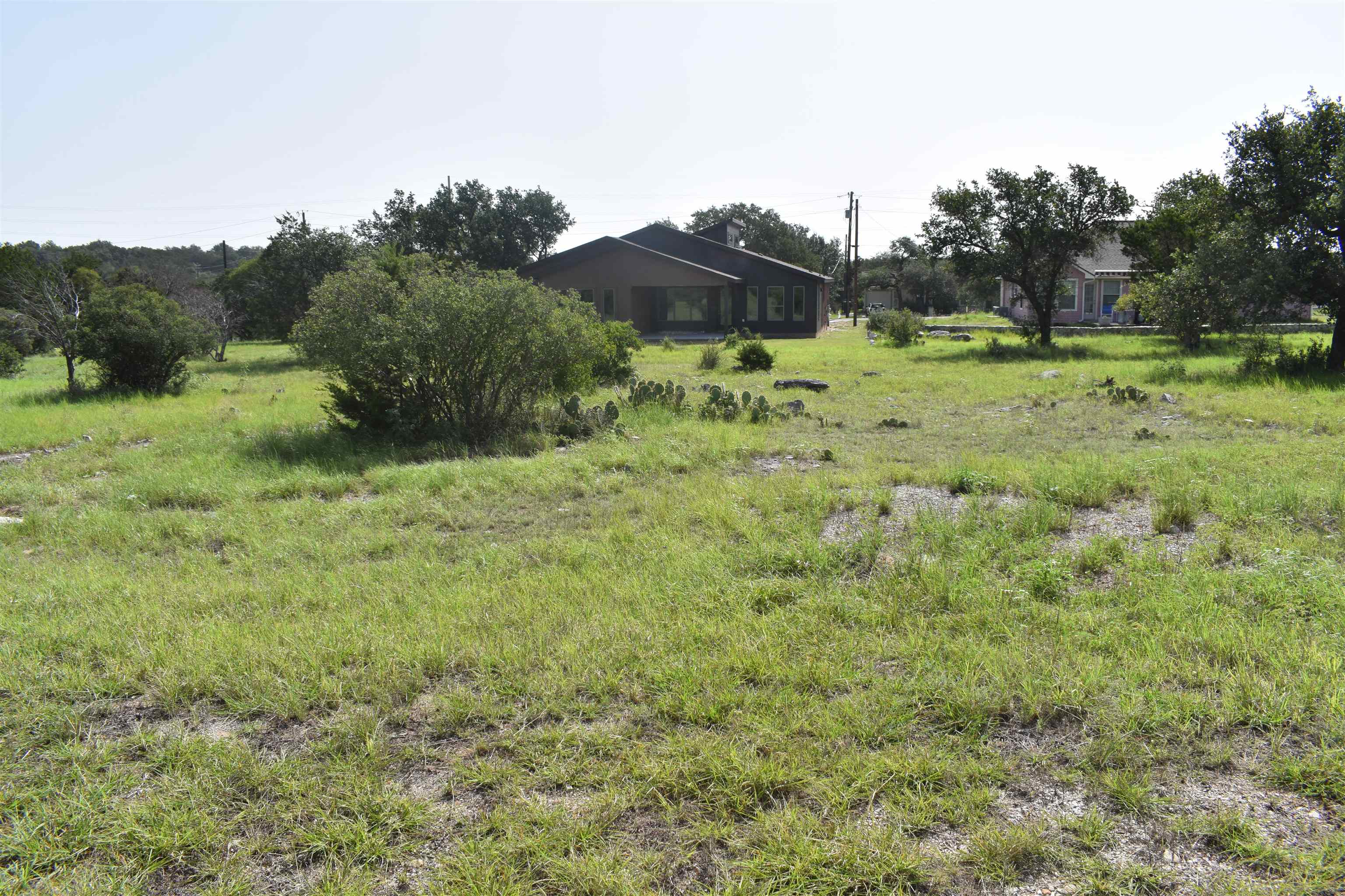 a view of a grassy area with an trees