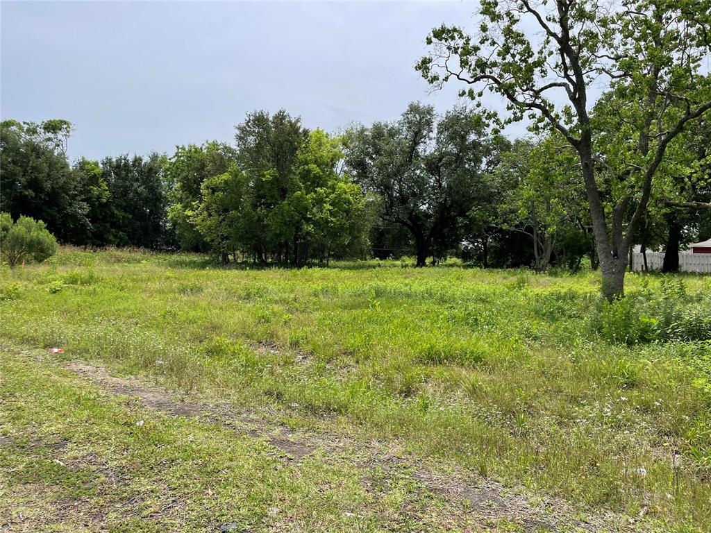 a view of field with trees in the background