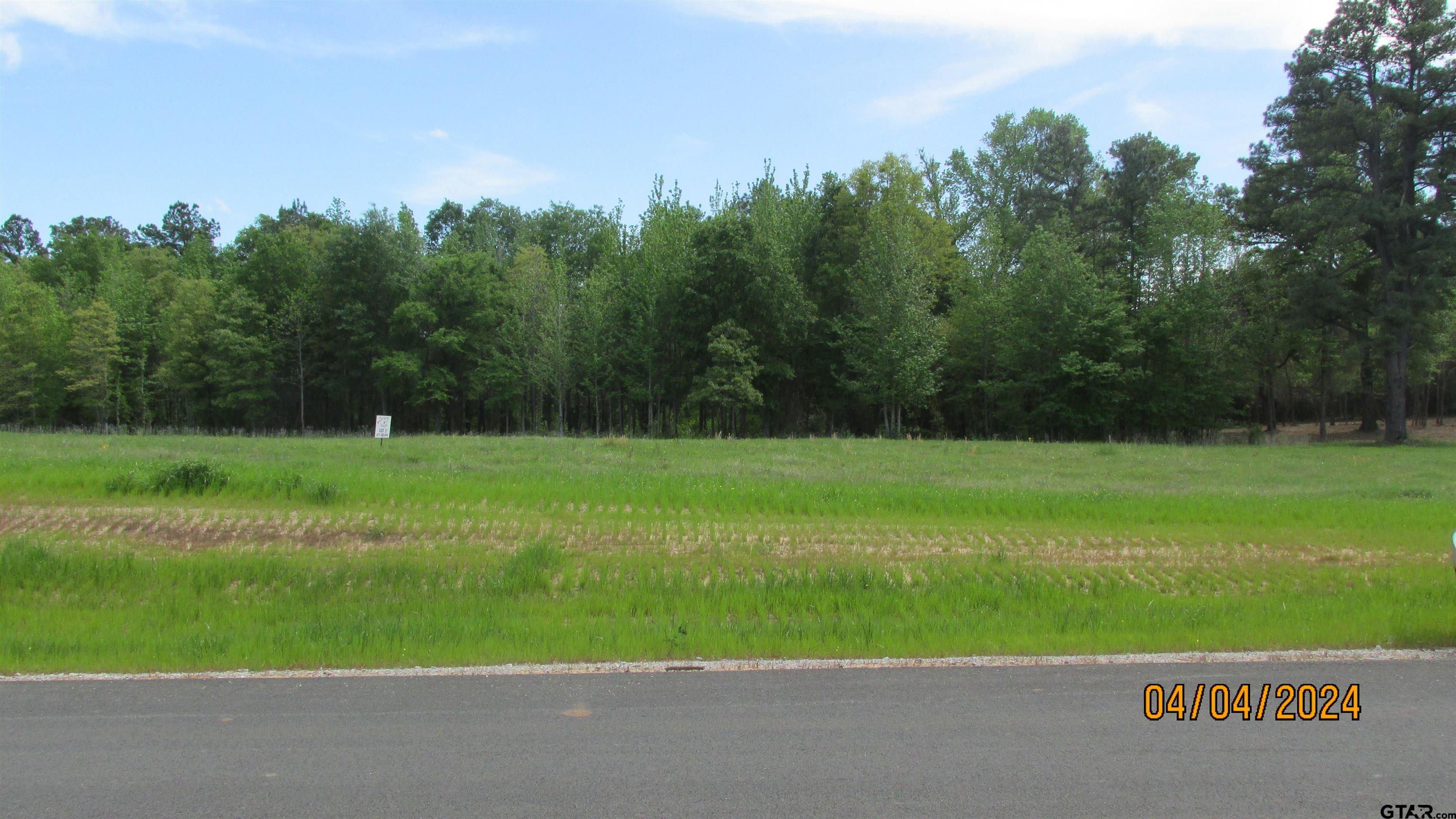 a view of a golf course with a park