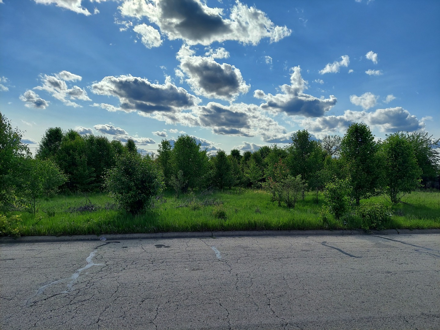 a view of a big yard with lots of green space