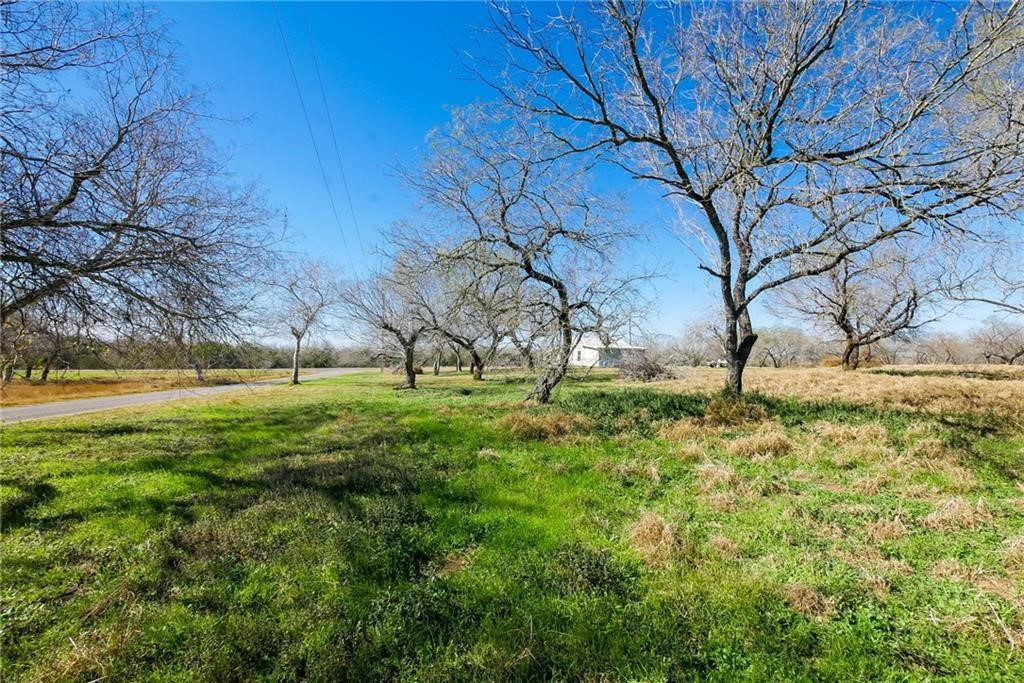 a view of yard with green space