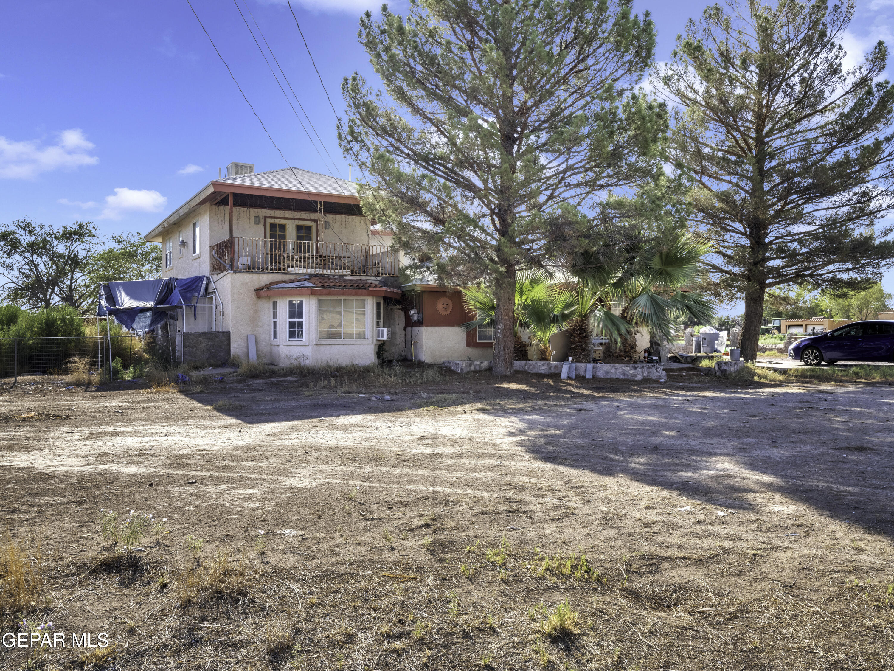 a front view of a house with a yard and large tree