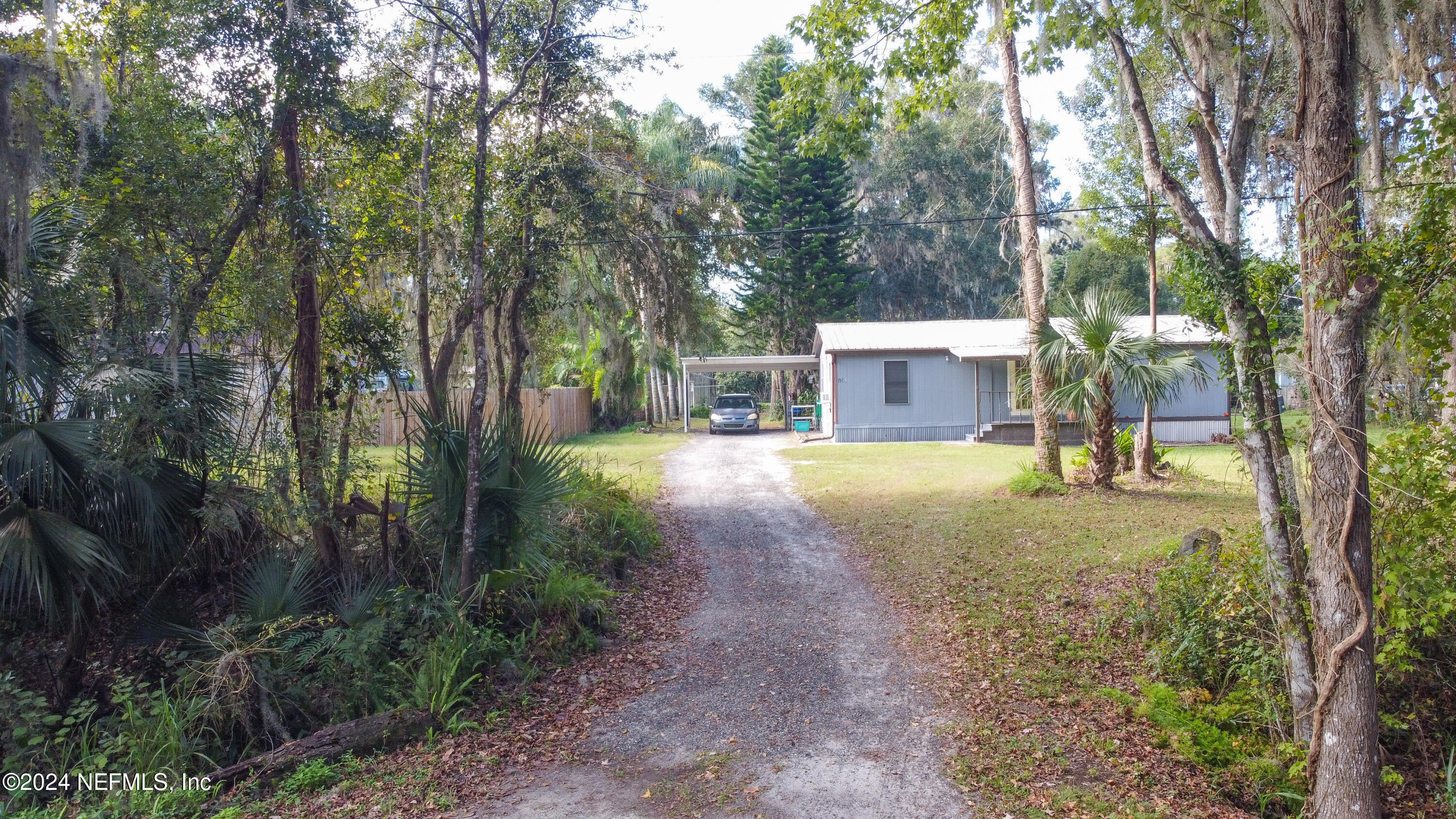 a view of a yard with plants and trees