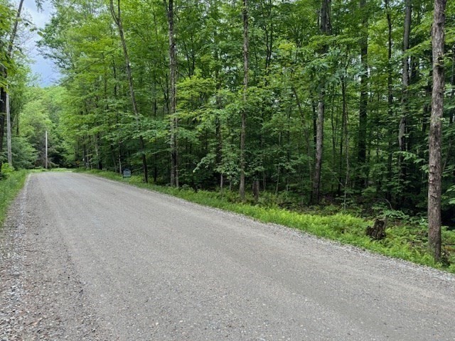 a view of a field with trees in the background