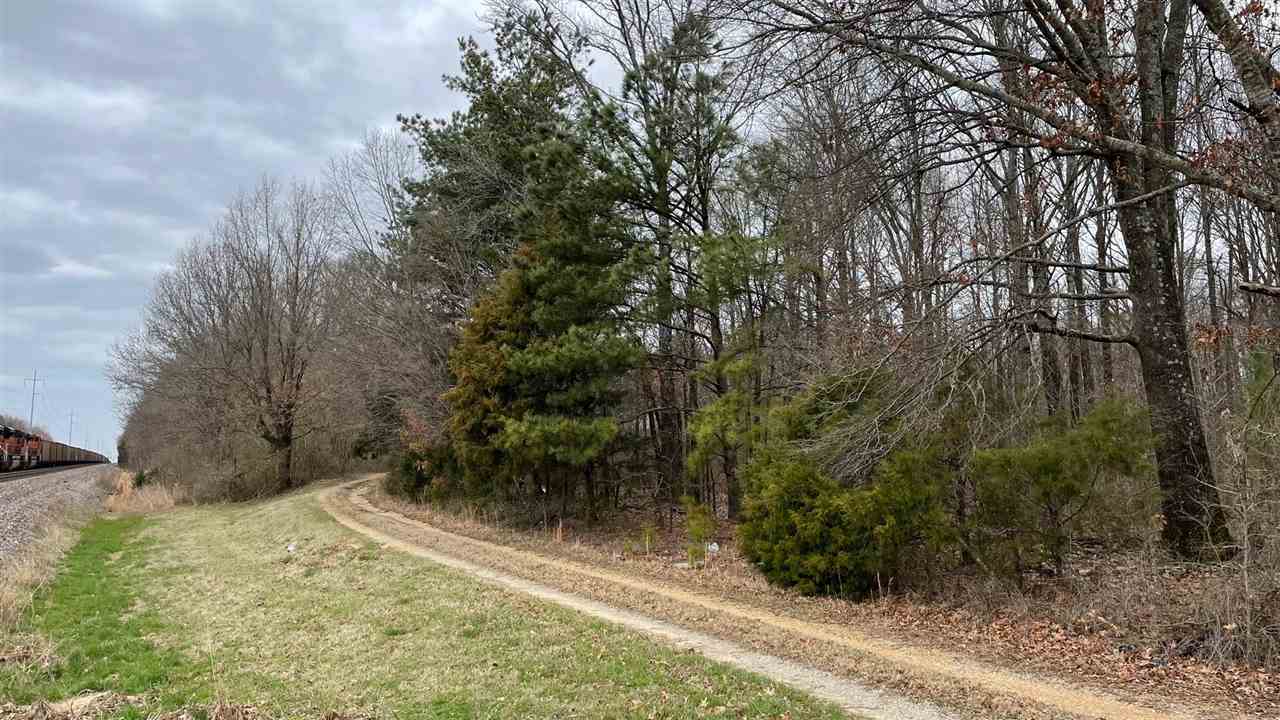 a view of a backyard of the house