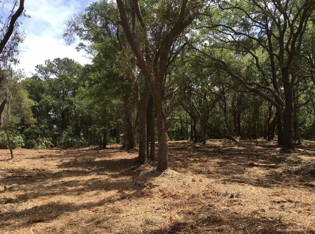 a view of outdoor space with trees