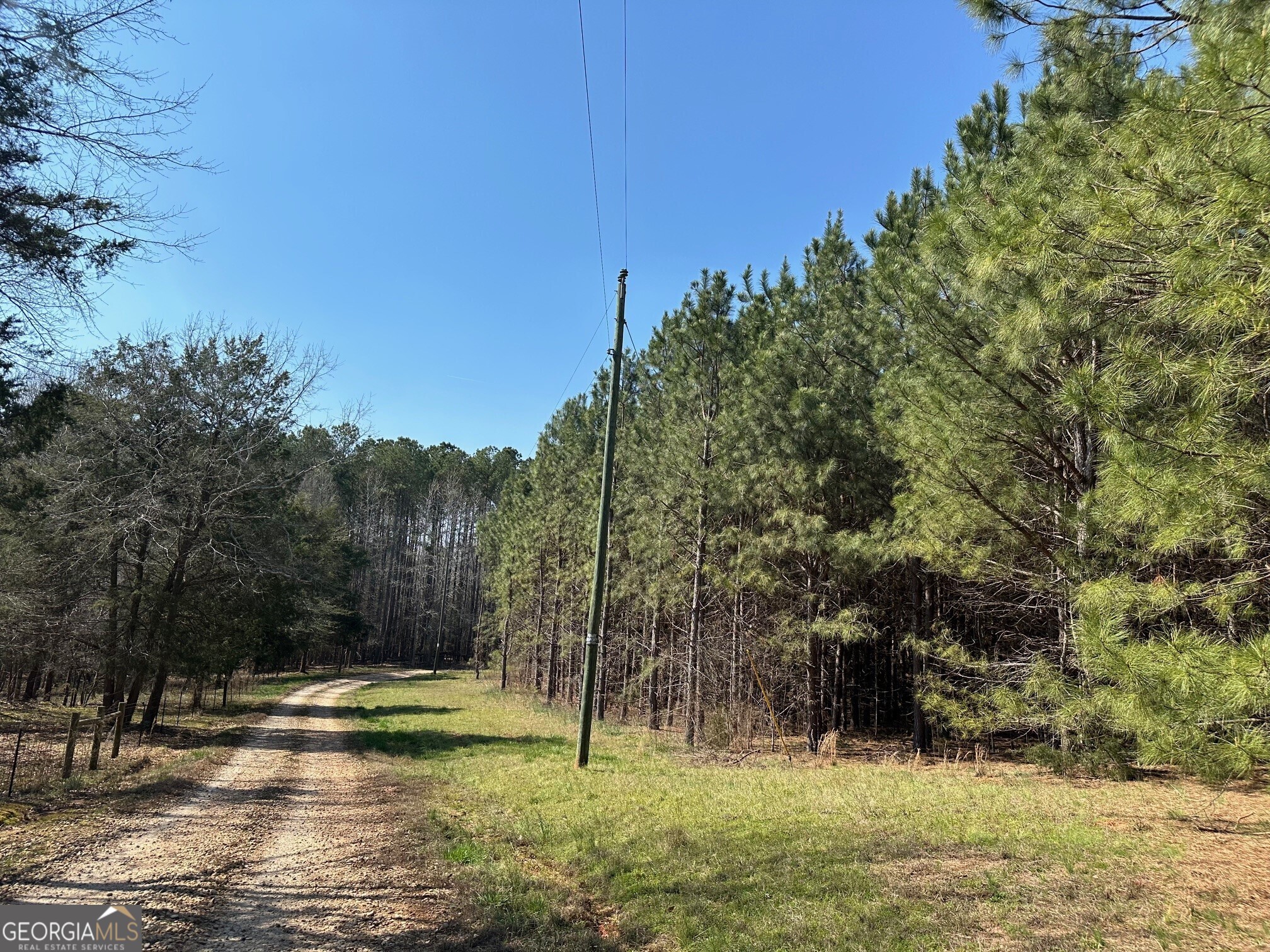 a view of a yard with trees