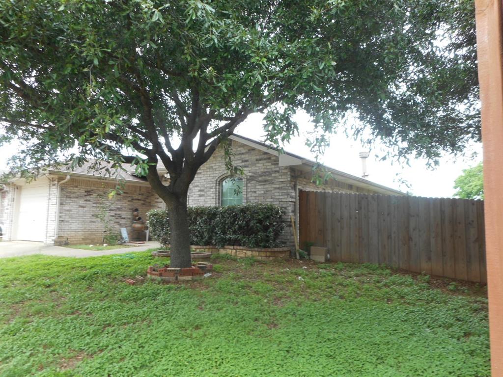 a view of a yard with a large tree