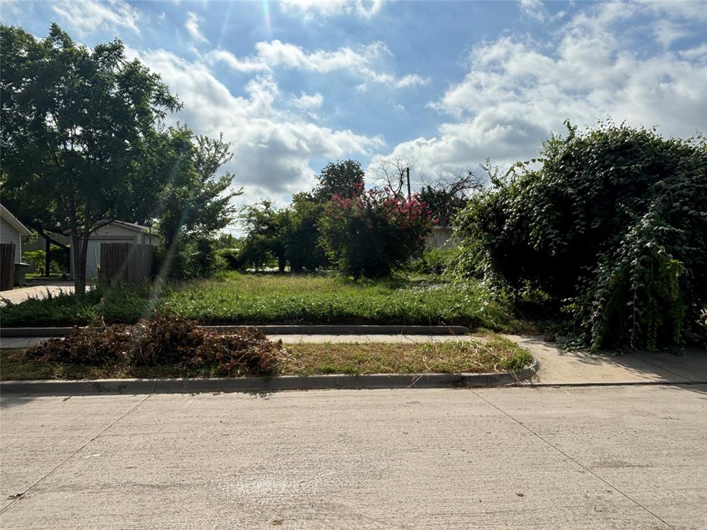 a view of yard with green space