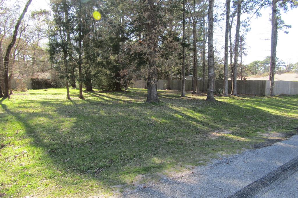 a view of a tree in a yard