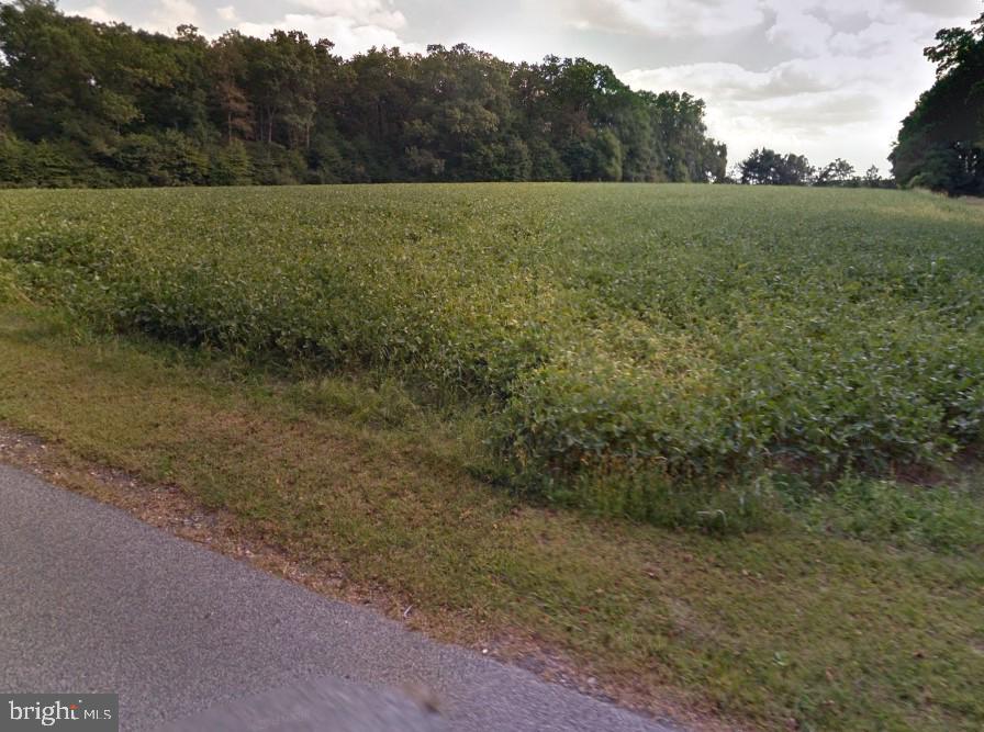 a view of a field with an trees in the background