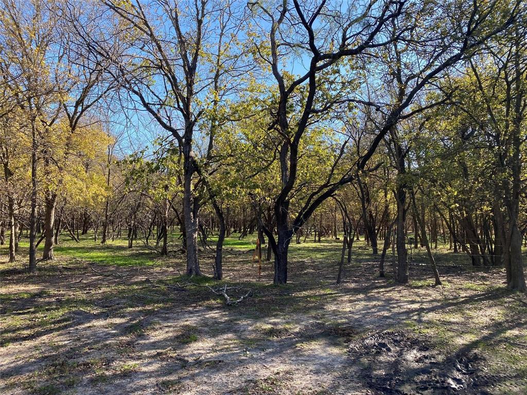 a view of outdoor space with trees