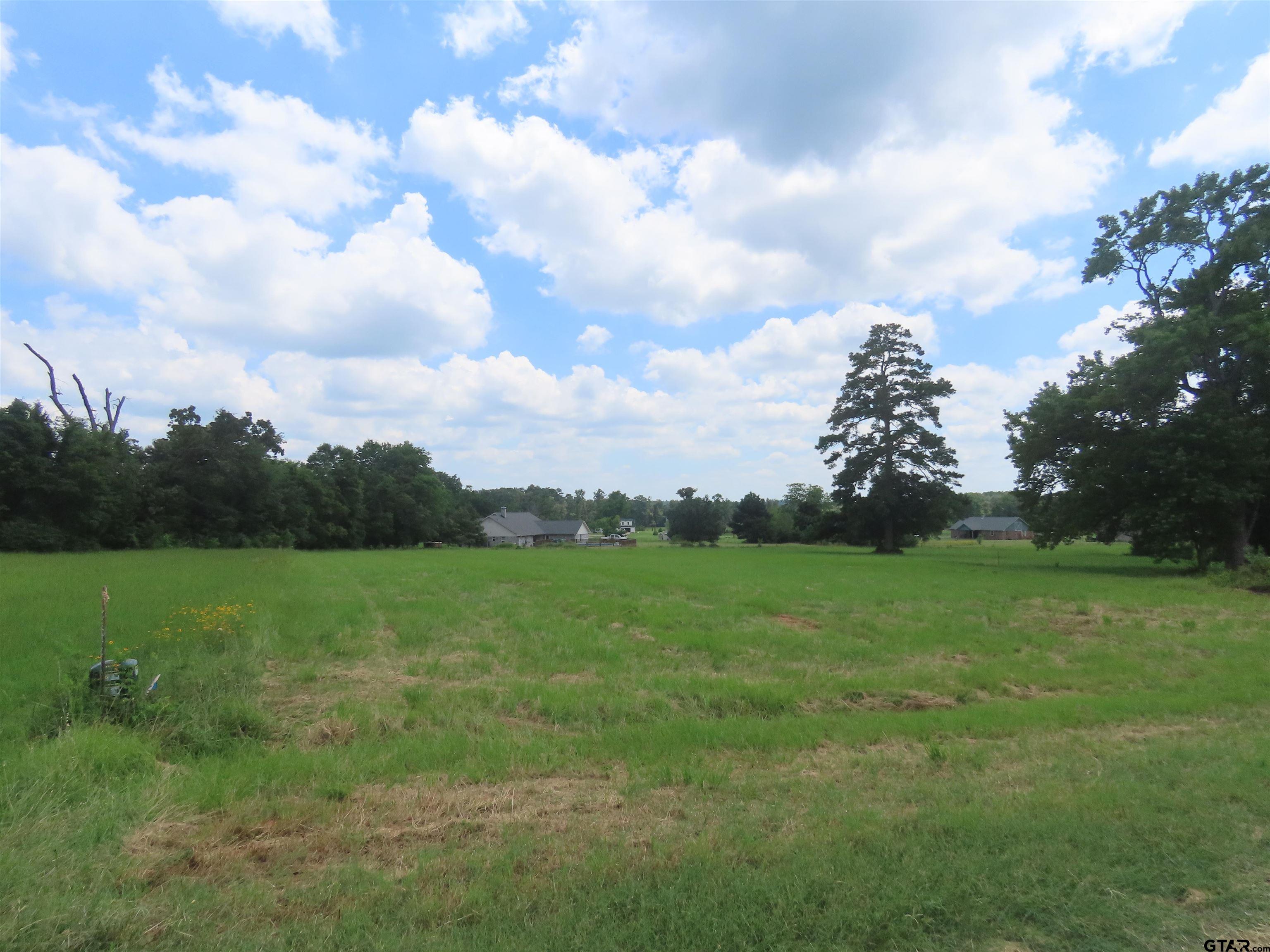 a view of a field of grass and trees