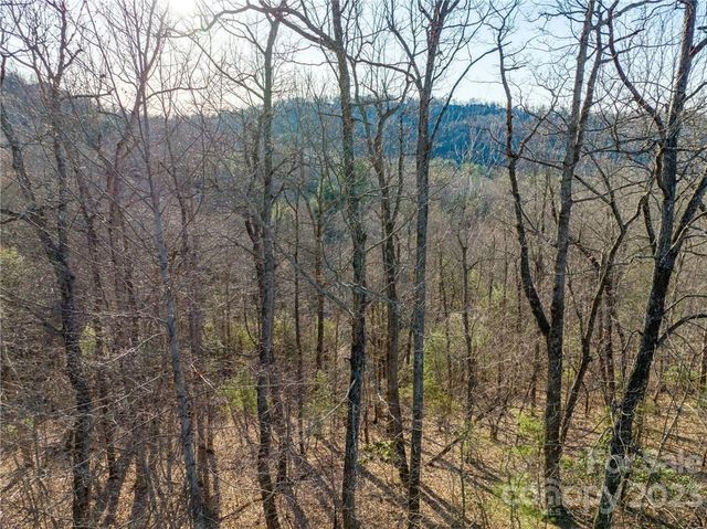 $88,000 | Lot 395 Roaring Fork Lane | Rambling Ridge