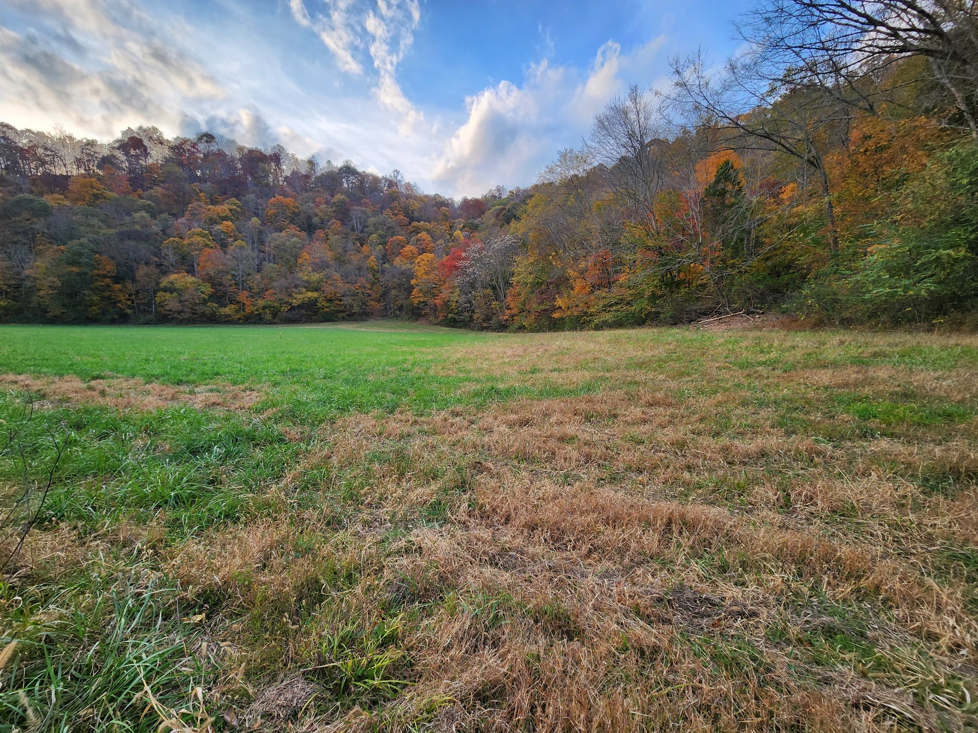 a view of a yard and mountain view